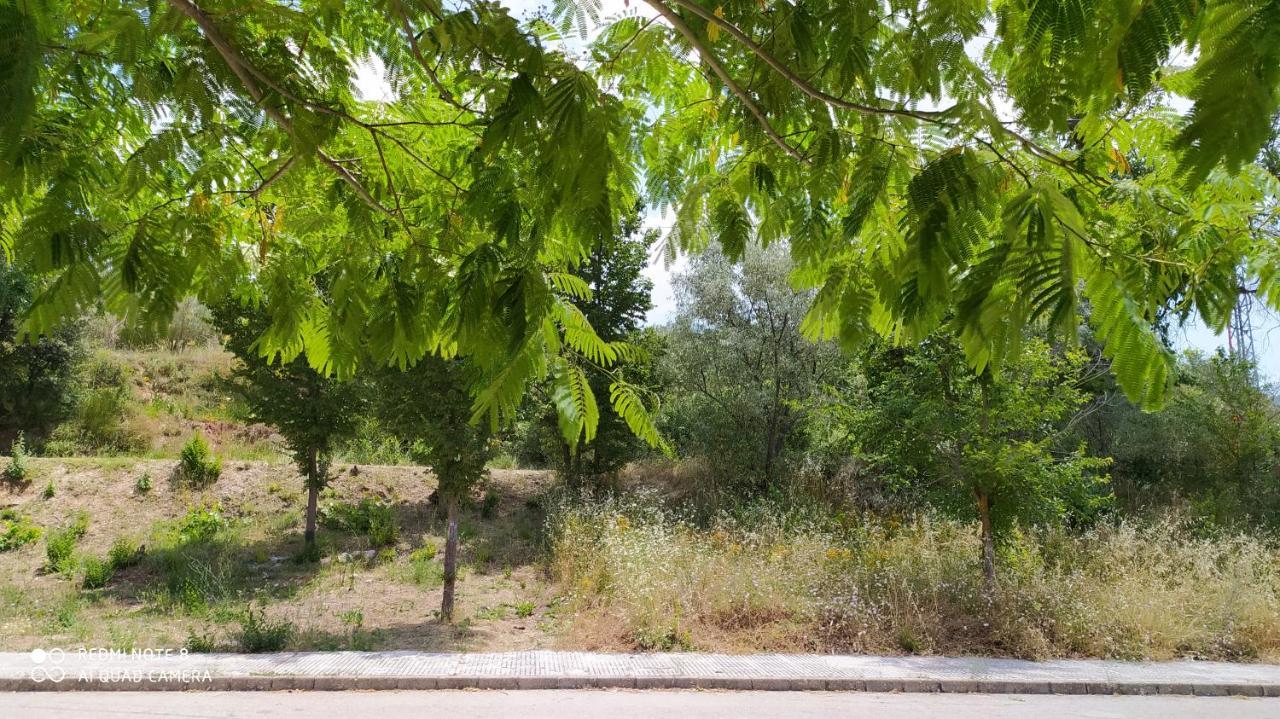 Casa Rural El Cerrete 2 Riópar Exteriör bild